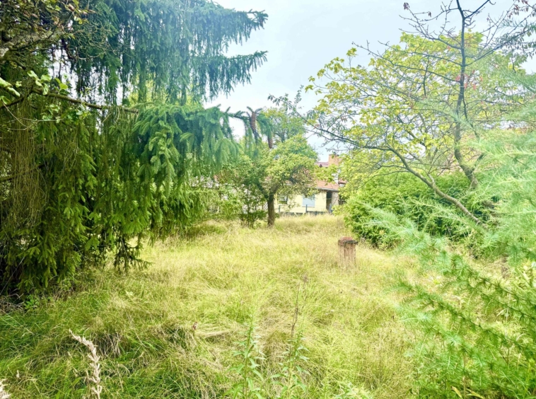 Grundstück