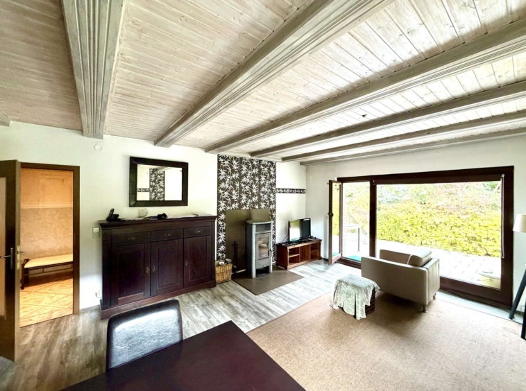 Wohnzimmer mit Kamin und Terrassenzugang